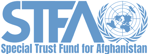 STFA Group