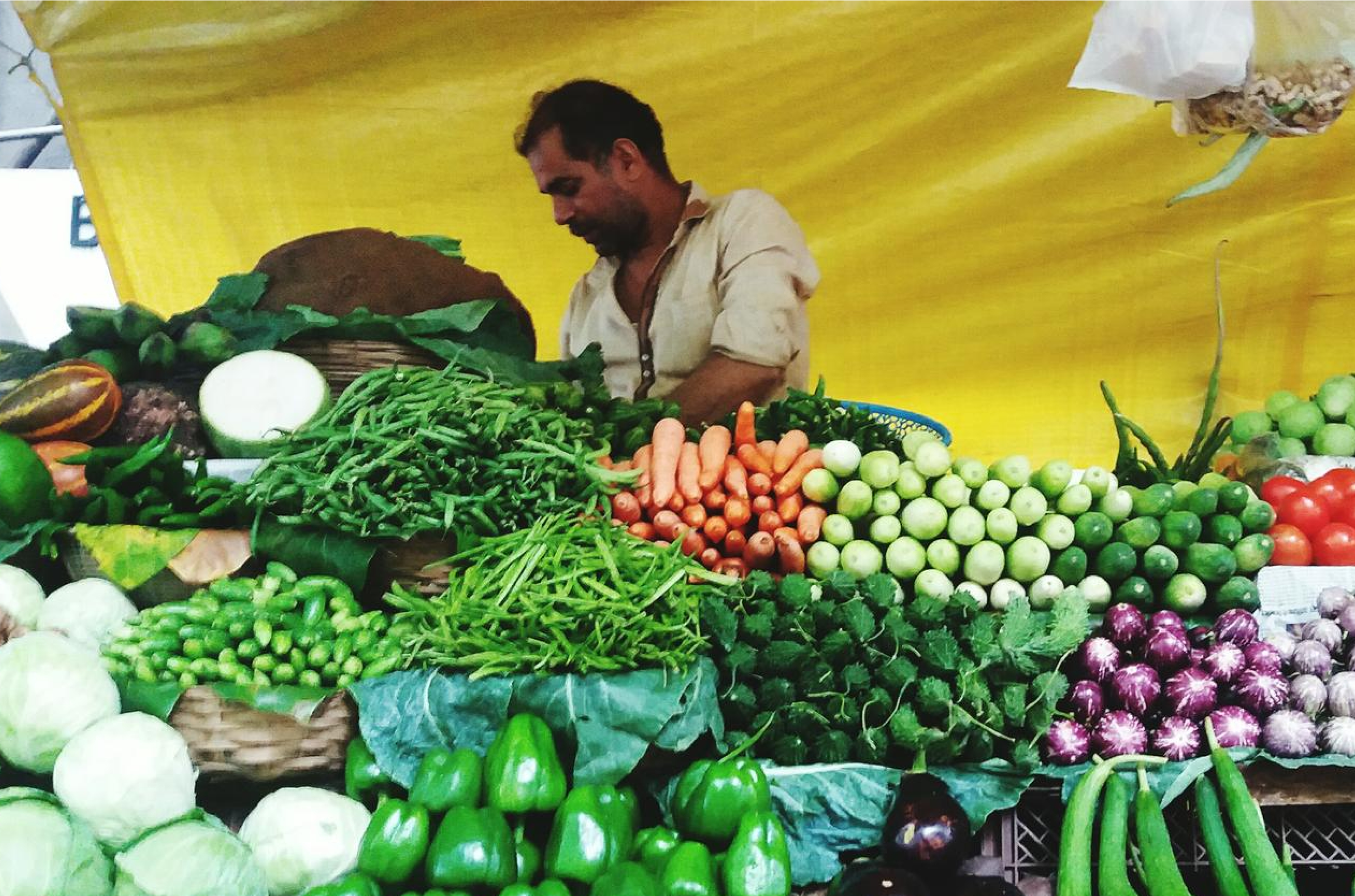 Agriculture and food security