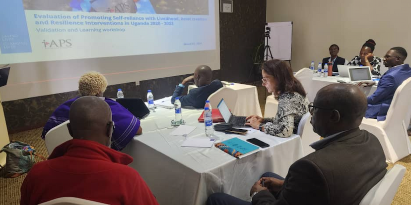i-APS Project Country Programme Evaluations: the Eastern and Southern Africa Region.